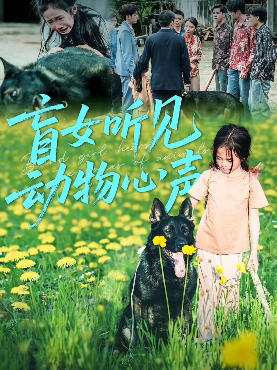 盲女听见动物心声封面