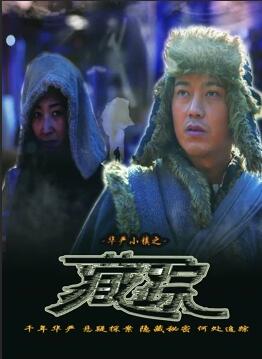 华严小镇2之藏踪封面