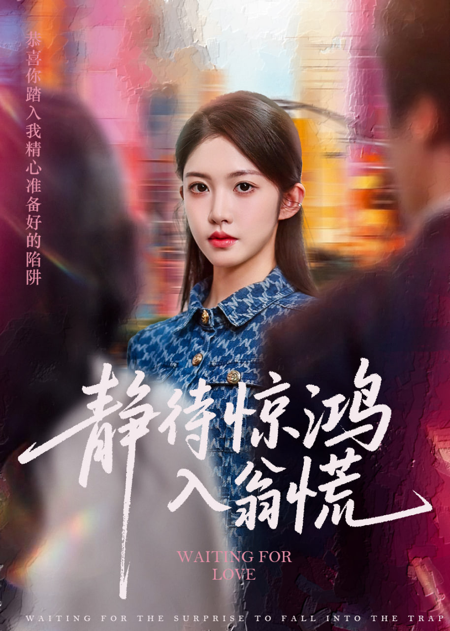 静待惊鸿入翁慌封面