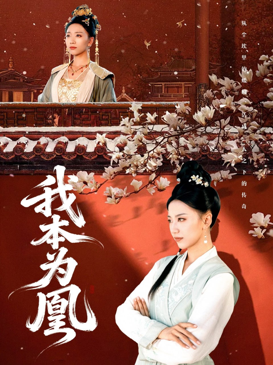 我本为凰封面