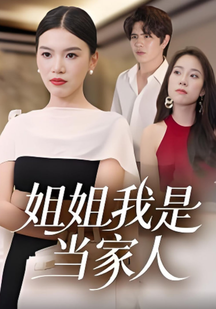 姐姐我是当家人封面