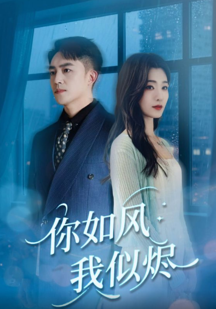 你如风我似烬封面