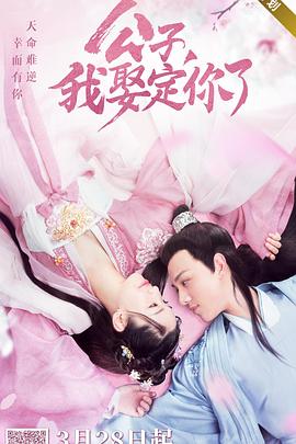 公子，我娶定你了封面