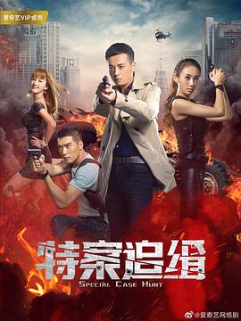 特案追缉封面