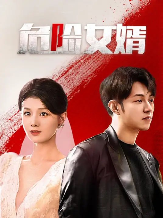 危险女婿封面