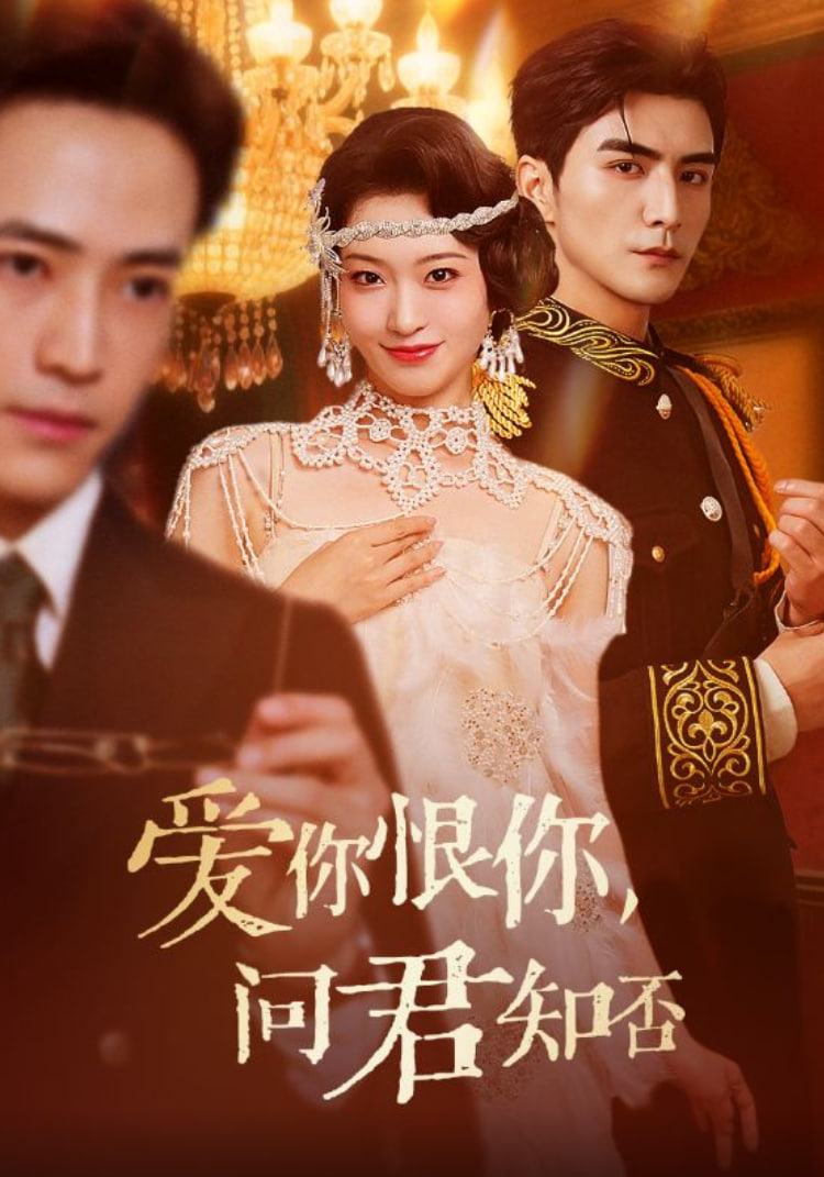 爱你恨你问君知否封面