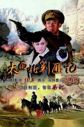 大西北剿匪记封面