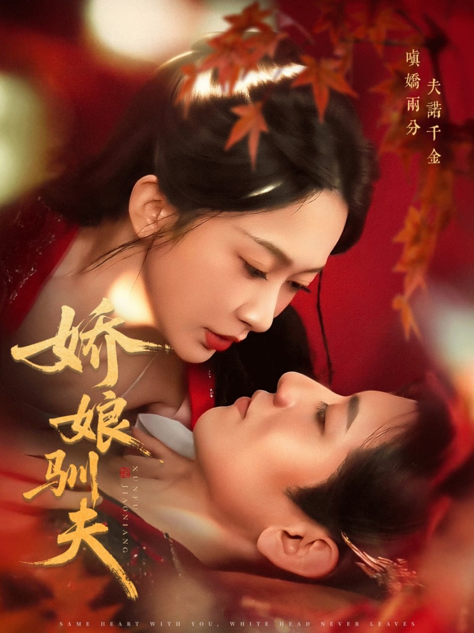 娇娘驯夫封面