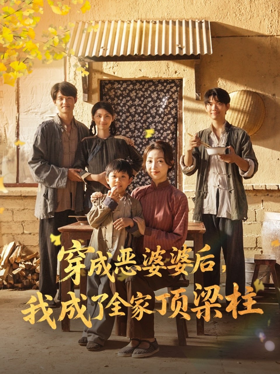 穿成恶婆婆后我成了全家顶梁柱封面