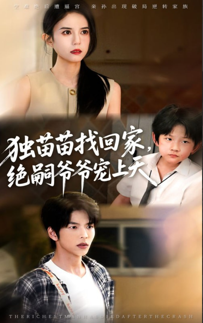 独苗苗找回家绝嗣爷爷宠上天封面