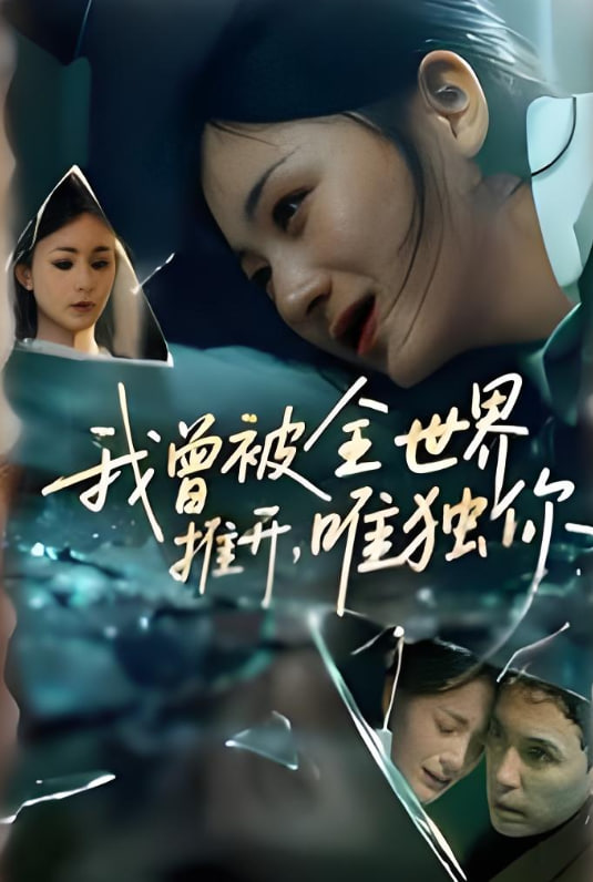 我曾被全世界推开唯独你封面