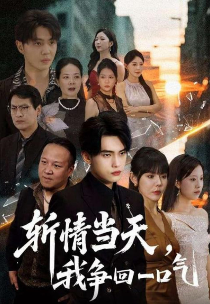 斩情当天我争回一口气封面