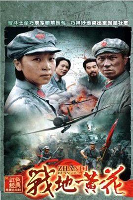 战地黄花封面