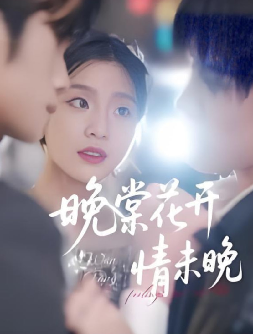 晚棠花开情未晚封面
