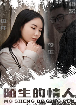 陌生的情人封面