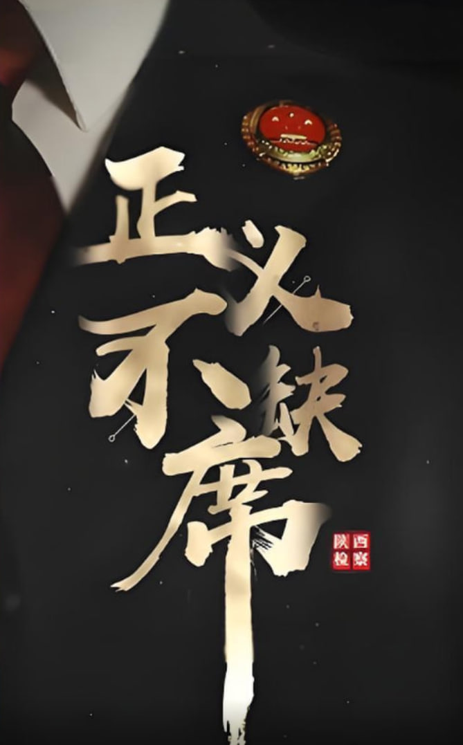 正义不缺席封面