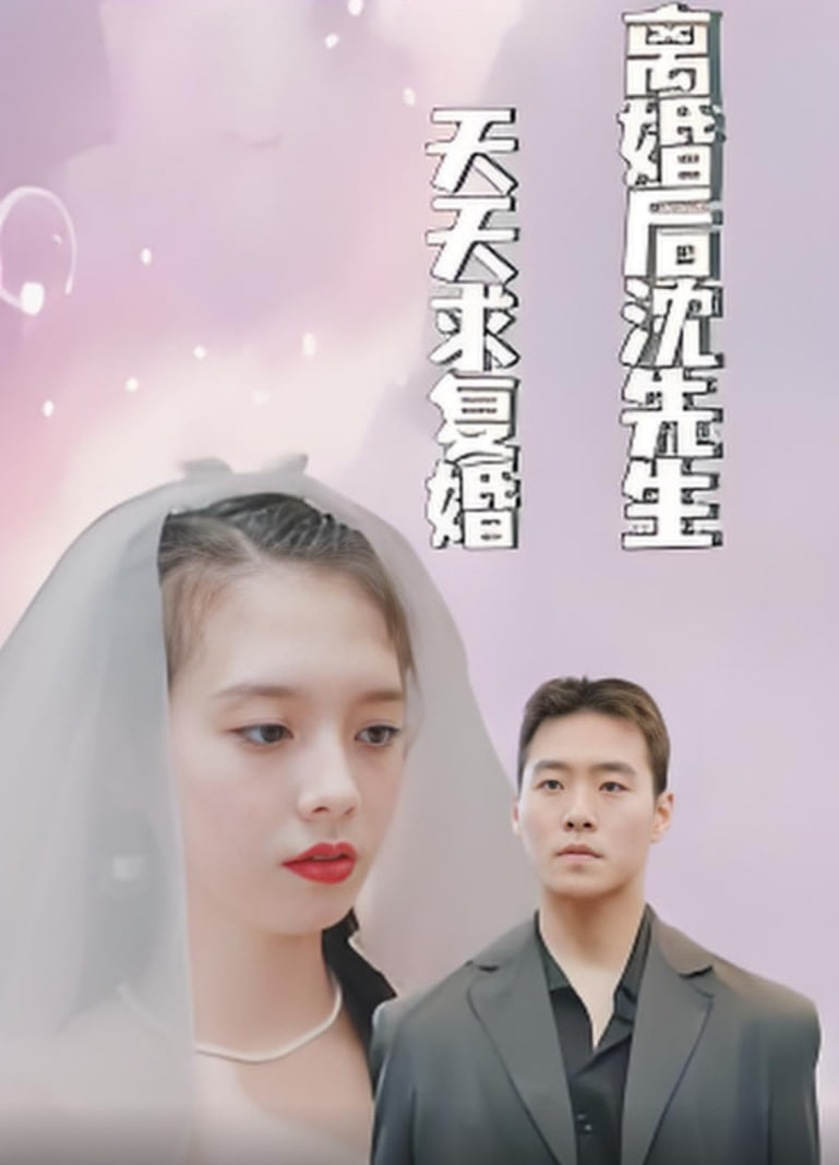 离婚后沈先生天天求复婚封面