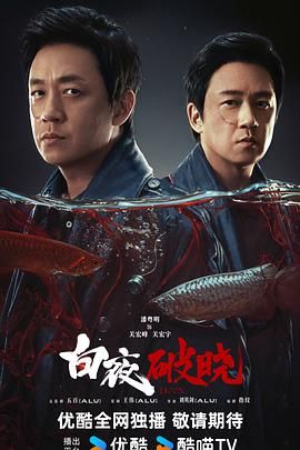 白夜破晓封面