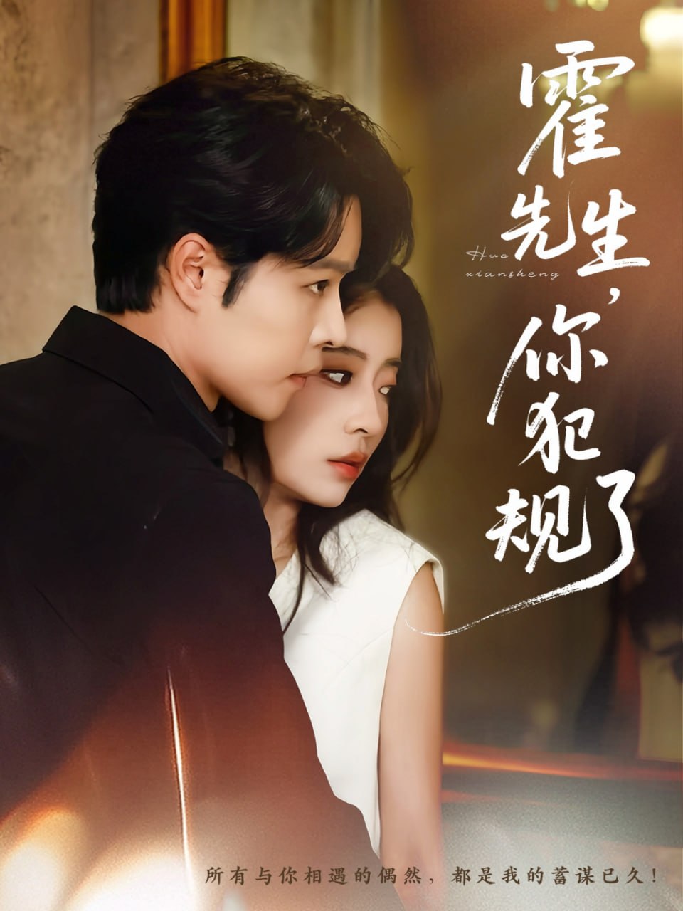 霍先生你犯规了封面