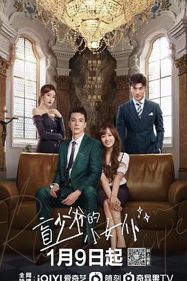 盲少爷的小女仆封面