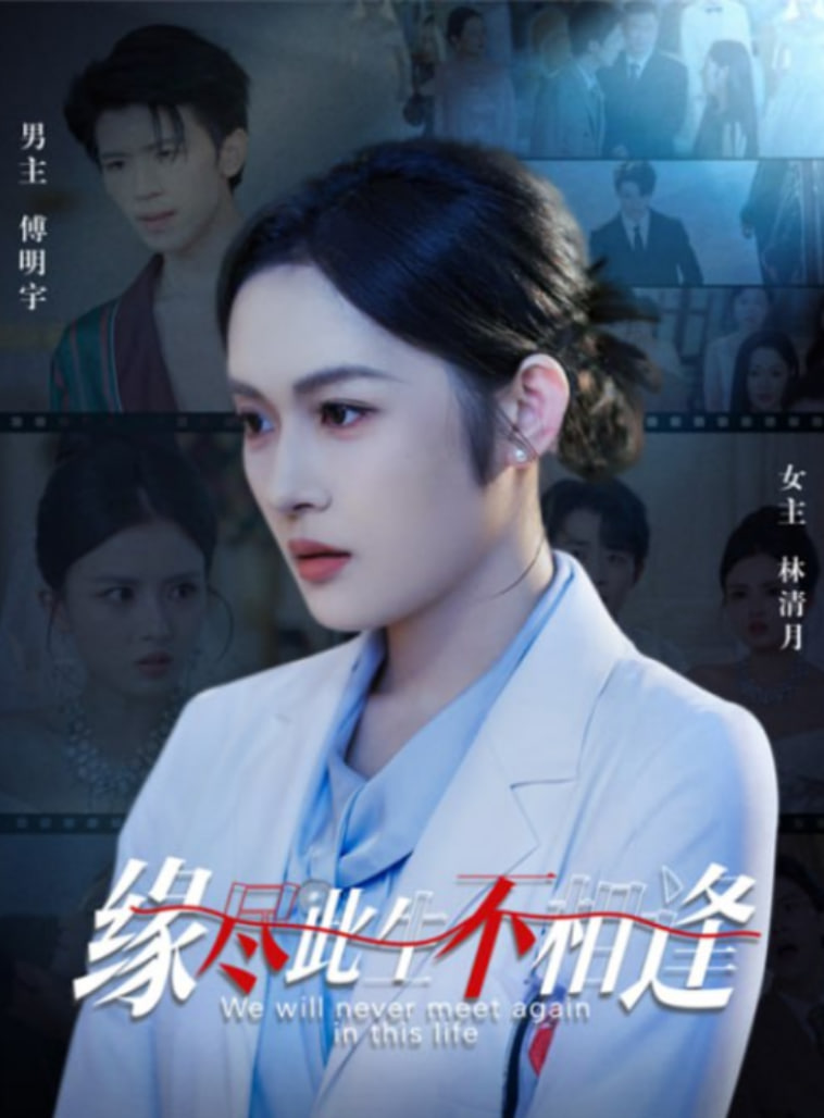 缘尽此生不相逢封面