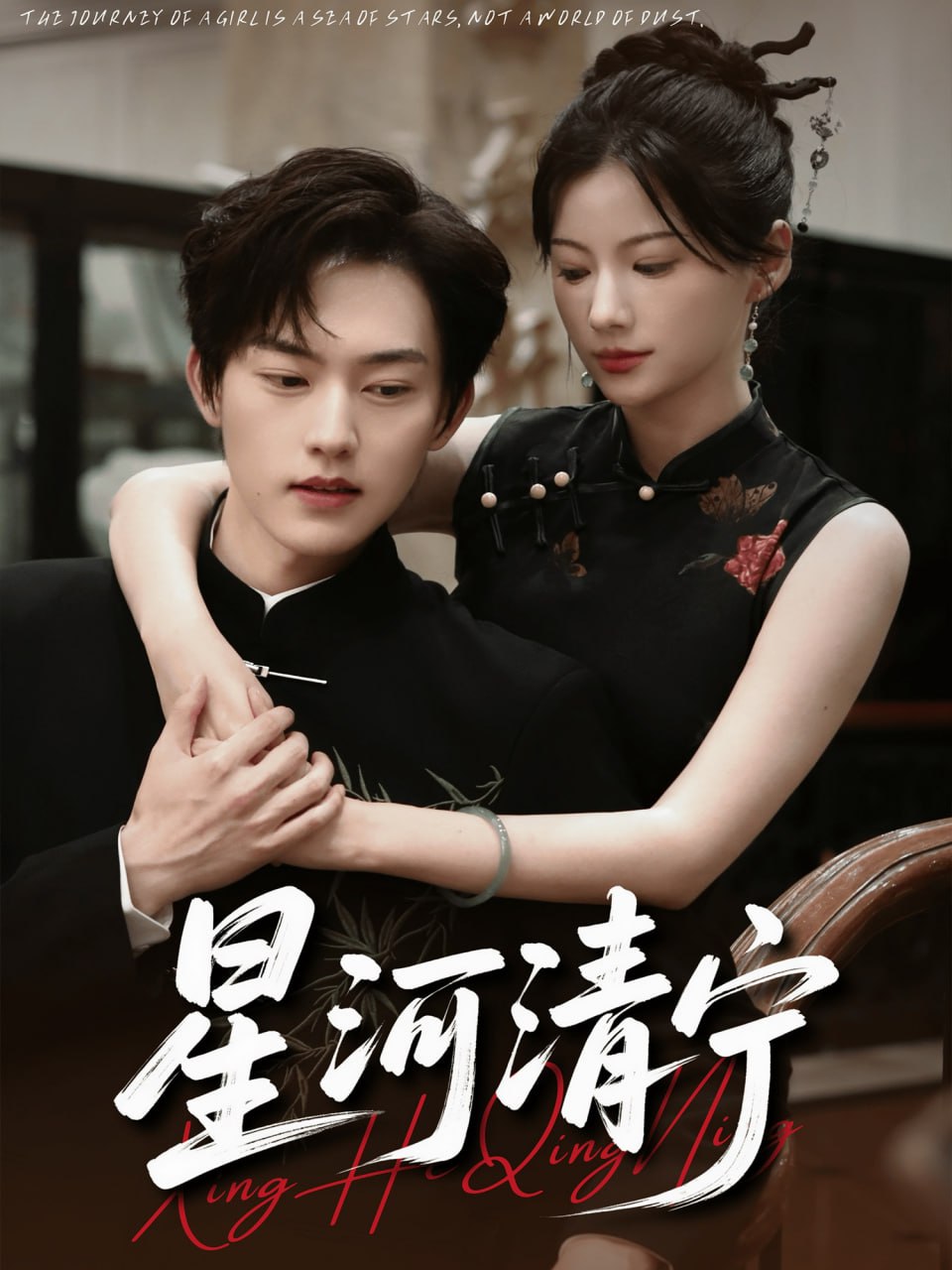 星河清宁封面