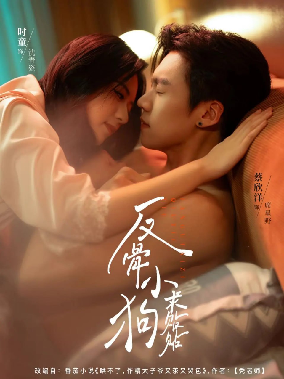 反骨小狗求贴贴封面