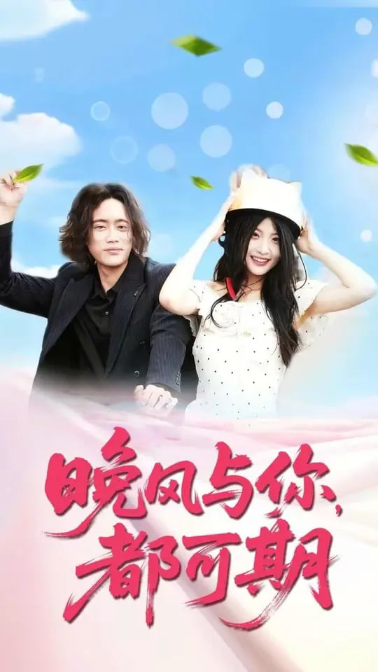 晚风与你都可期封面