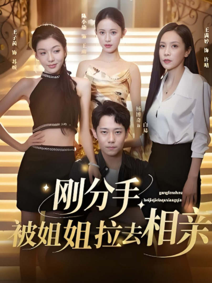 刚分手被姐姐拉去相亲（分手被姐姐拉去相亲）封面