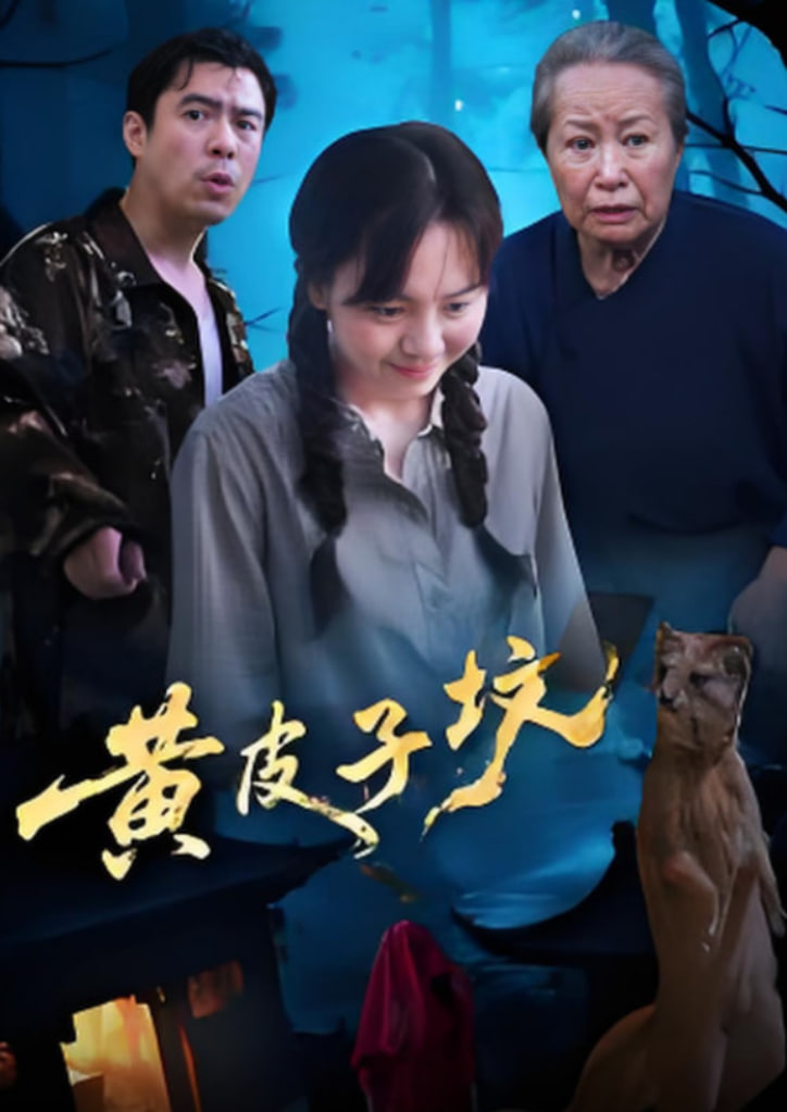 黄皮子坟封面