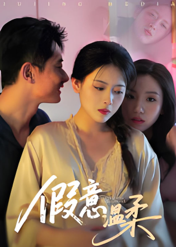 假意温柔封面