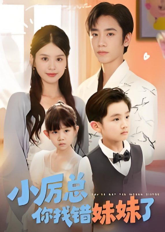 小厉总你找错妹妹了封面