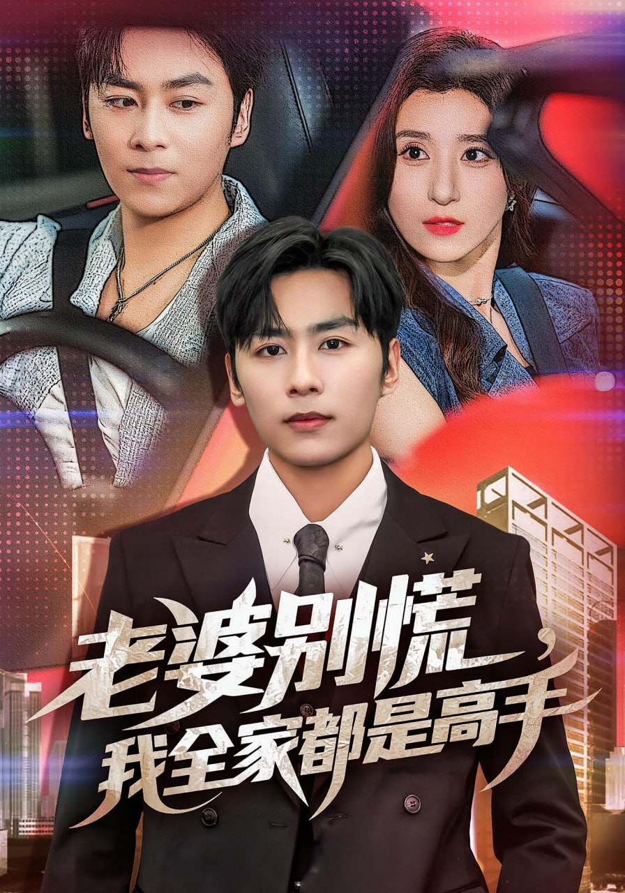 老婆别慌我全家都是高手封面