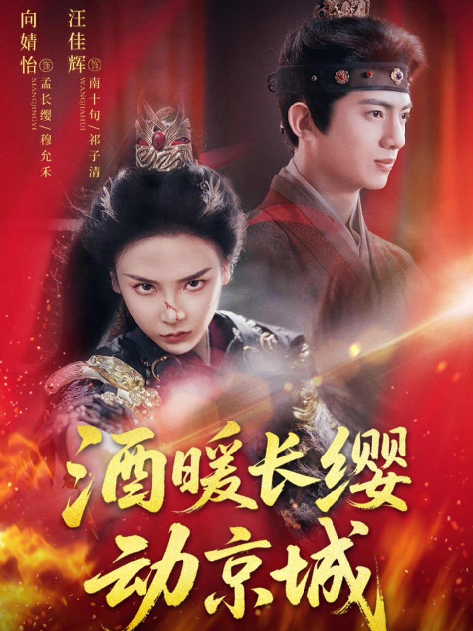 酒暖长缨动京城封面