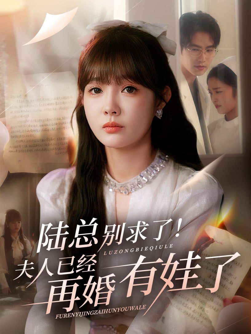 陆总别求了夫人已经再婚有娃了封面