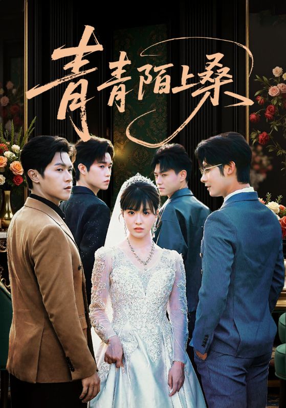 青青陌上桑封面