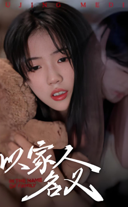 以家人的名义封面