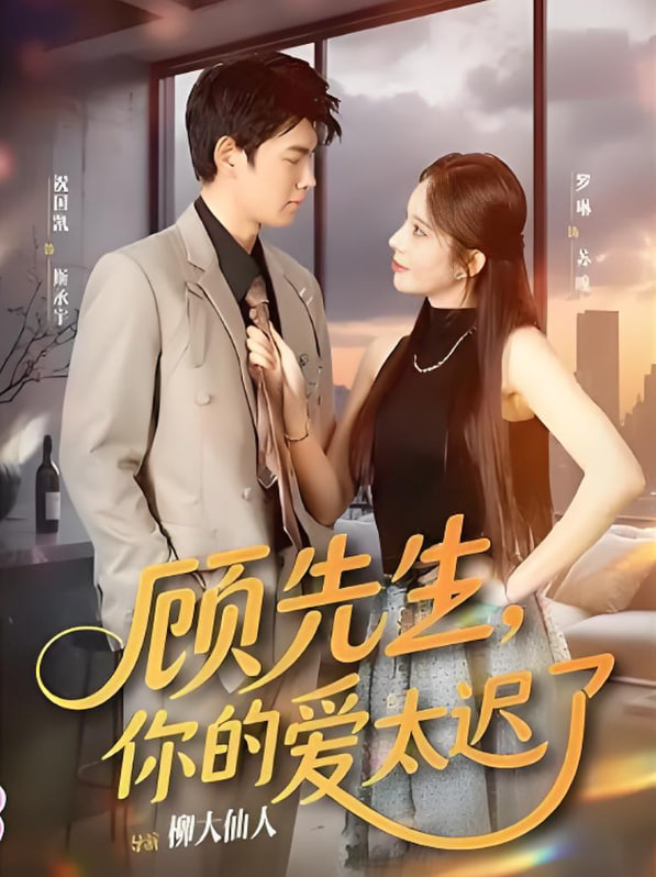 顾先生你的爱太迟了封面