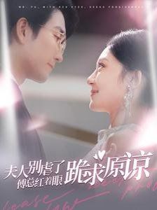 夫人别虐了傅总红着眼跪求原谅封面