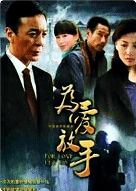 为爱放手封面
