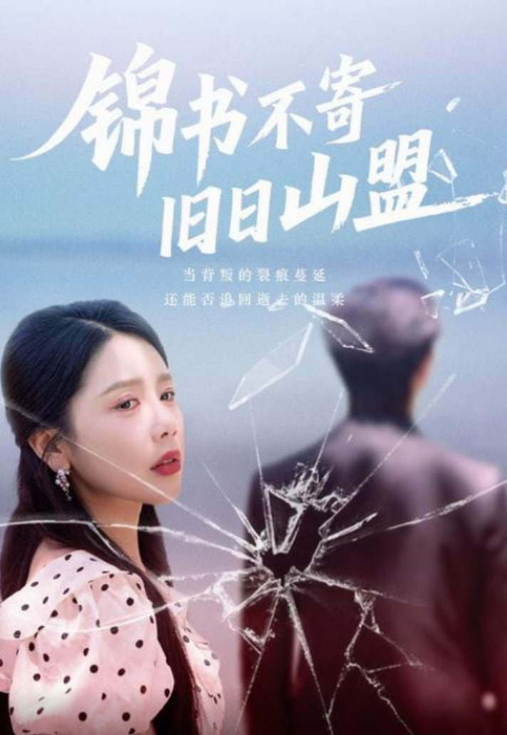 锦书不寄旧日山盟封面