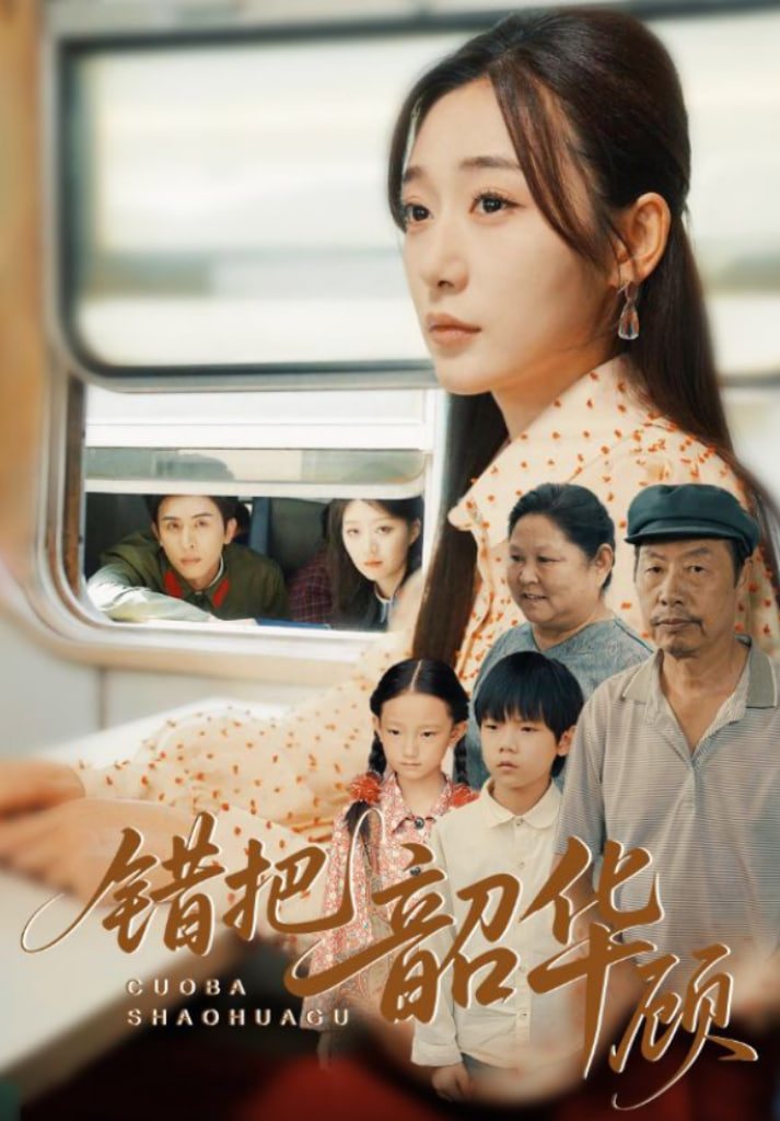 错把韶华顾封面