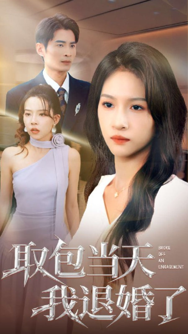 取包当天我退婚了封面