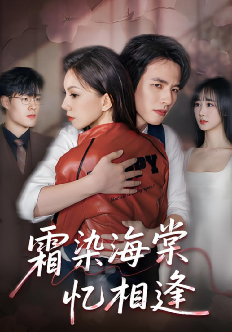 霜染海棠忆相逢封面