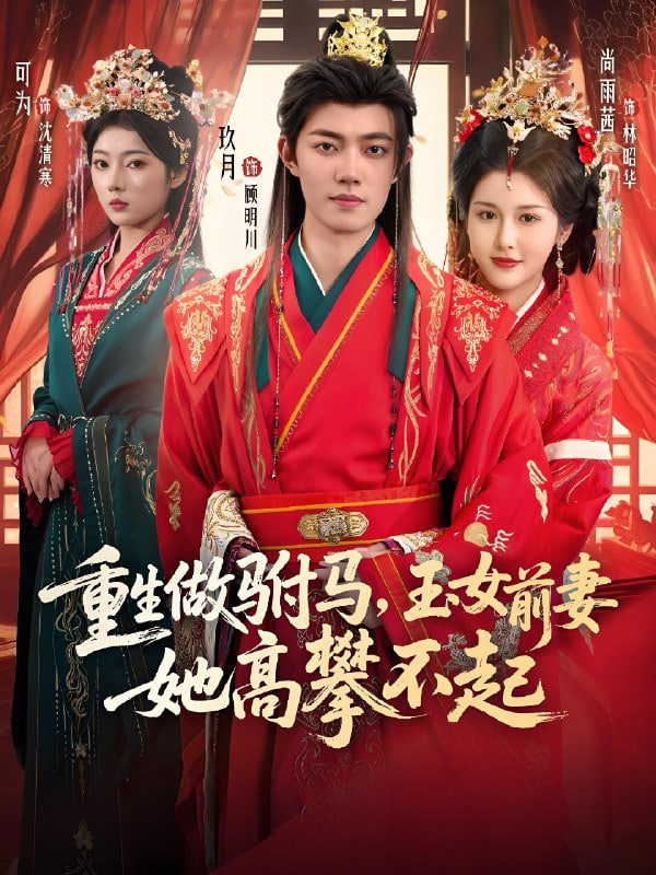 重生做驸马，玉女前妻她高攀不起封面