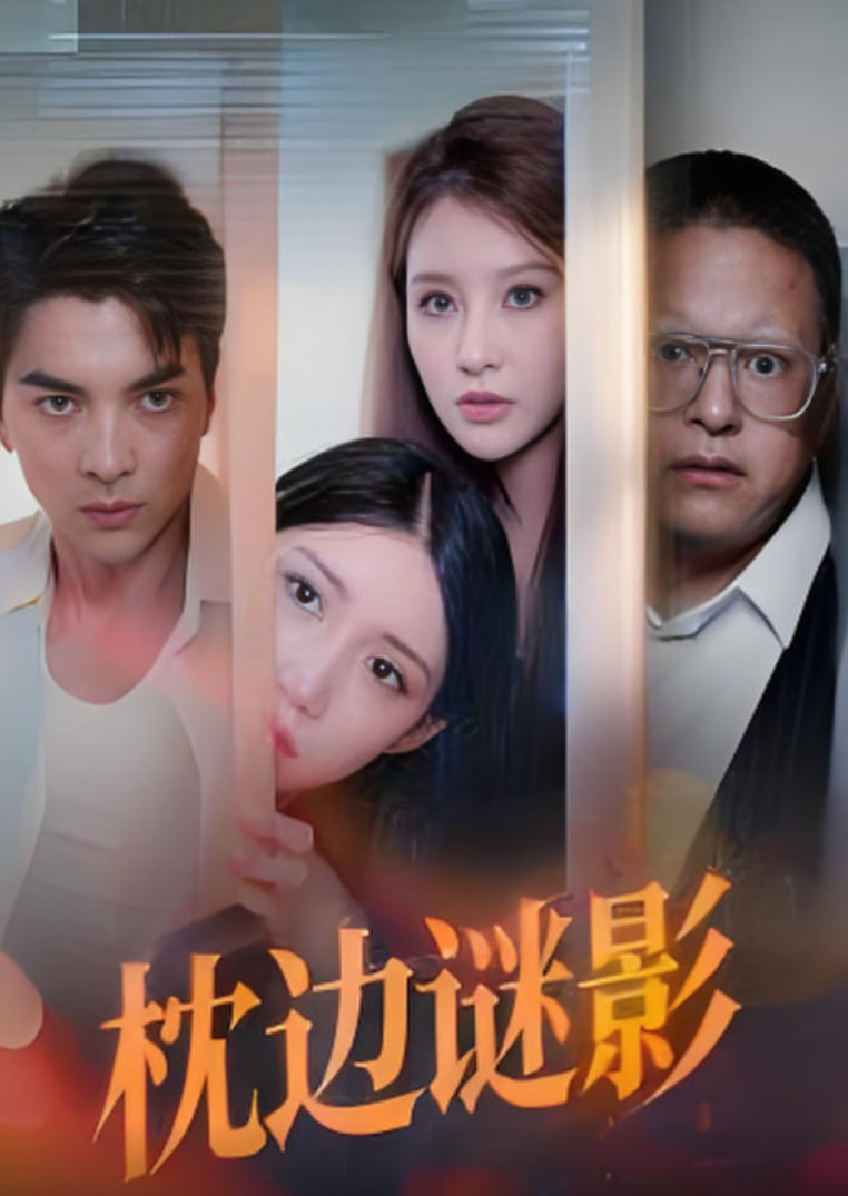 枕边谜影（我撞破了妻子的秘密）封面