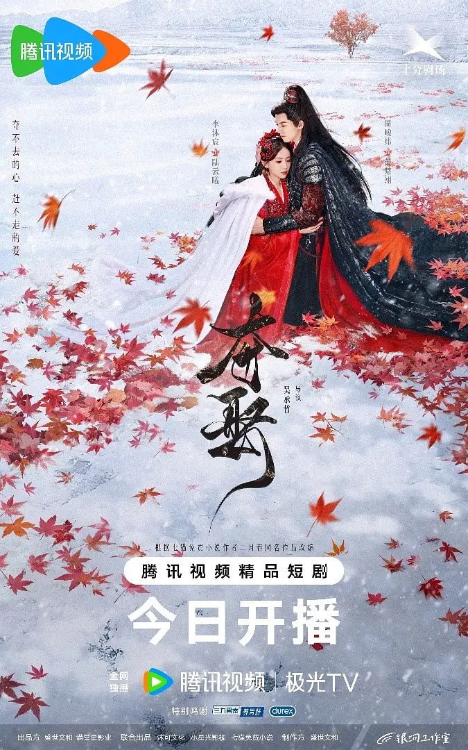 夺娶 2025封面