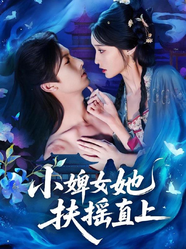 小婢女她扶摇直上封面