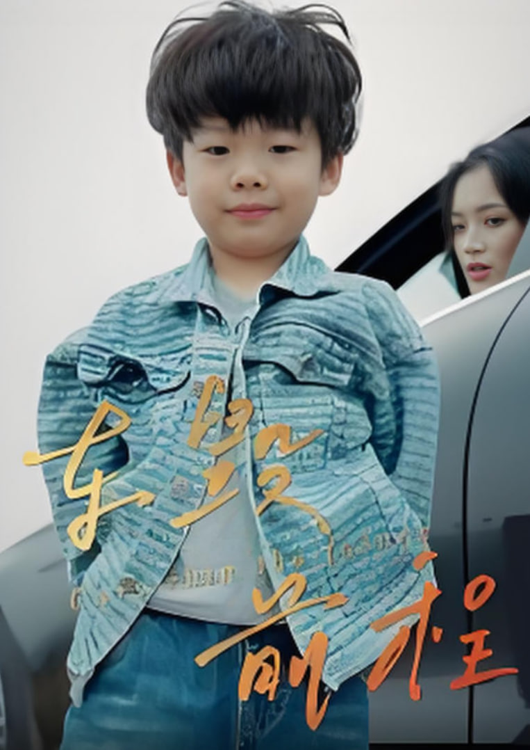 车毁前程封面