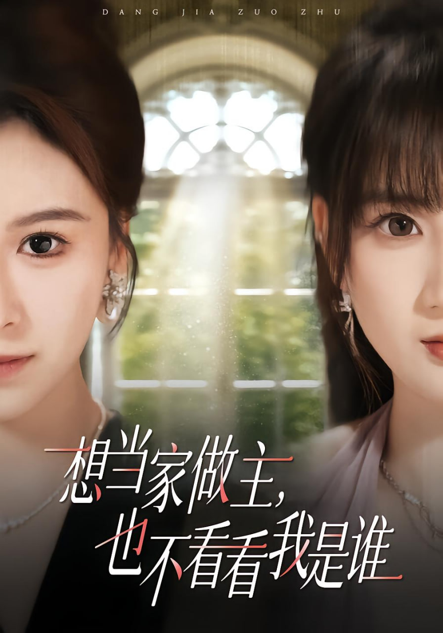 想当家做主，也不看看我是谁封面